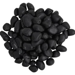 VIDAXL - Galets polis 25 kg noir 2-5 cm