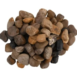 VIDAXL - Galets polis 25 kg multicolores 2-5 cm