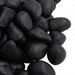 VIDAXL - Galets polis 10 kg noir 2-5 cm