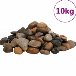 VIDAXL - Galets polis 10 kg multicolores 2-5 cm