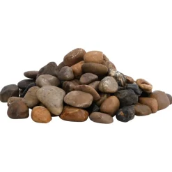 VIDAXL - Galets polis 10 kg multicolores 2-5 cm