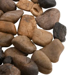 VIDAXL - Galets polis 10 kg multicolores 2-5 cm