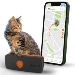 WEENECT - Weenect XS - collier gps pour chat (black edition )