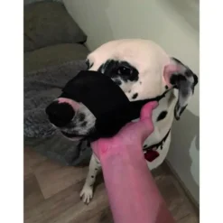 Yago museliere en nylon noir pour grand chien, partie museau avec filet respirant et réglable