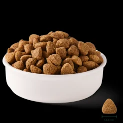 YARRAH - Yarrah - croquettes biologiques végétariennes pour chien 2kg