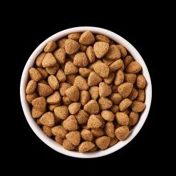 YARRAH - Yarrah - croquettes biologiques végétariennes pour chien 2kg
