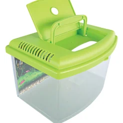 ZOLUX - Aqua travel box ii, médium, taille 28 x 20 x h 17 cm, pour poisson couleur