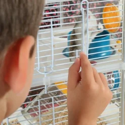 ZOLUX - Cage sur 2 étages pour hamsters, souris et gerbilles - rody3 duo - l 41 x p 27 x h 40,5 cm - grenadine