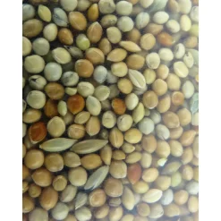 ZOLUX - Graines, alimentation oiseaux exotique nutrimeal - 12kg