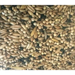 ZOLUX - Graines pour canaris sac de 3 kg pour oiseaux