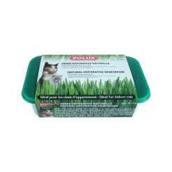 ZOLUX - Herbe à chat dépurative naturelle (lot de 3)