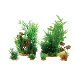 ZOLUX - Jalaya n°2 plantes artificielles 6 pieces h 18 cm plantkit décoration d'aq