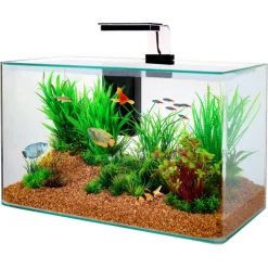 ZOLUX - Kit aquarium aqua clear 50