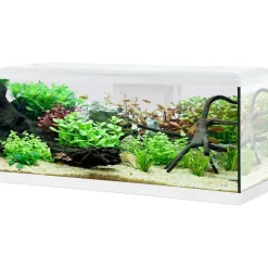 ZOLUX - Kit aquarium tana 120l