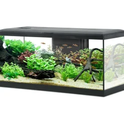 ZOLUX - Kit aquarium tana 84l