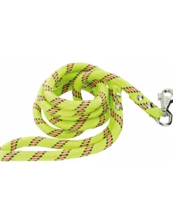 ZOLUX - Laisse nylon® corde pour chien anis