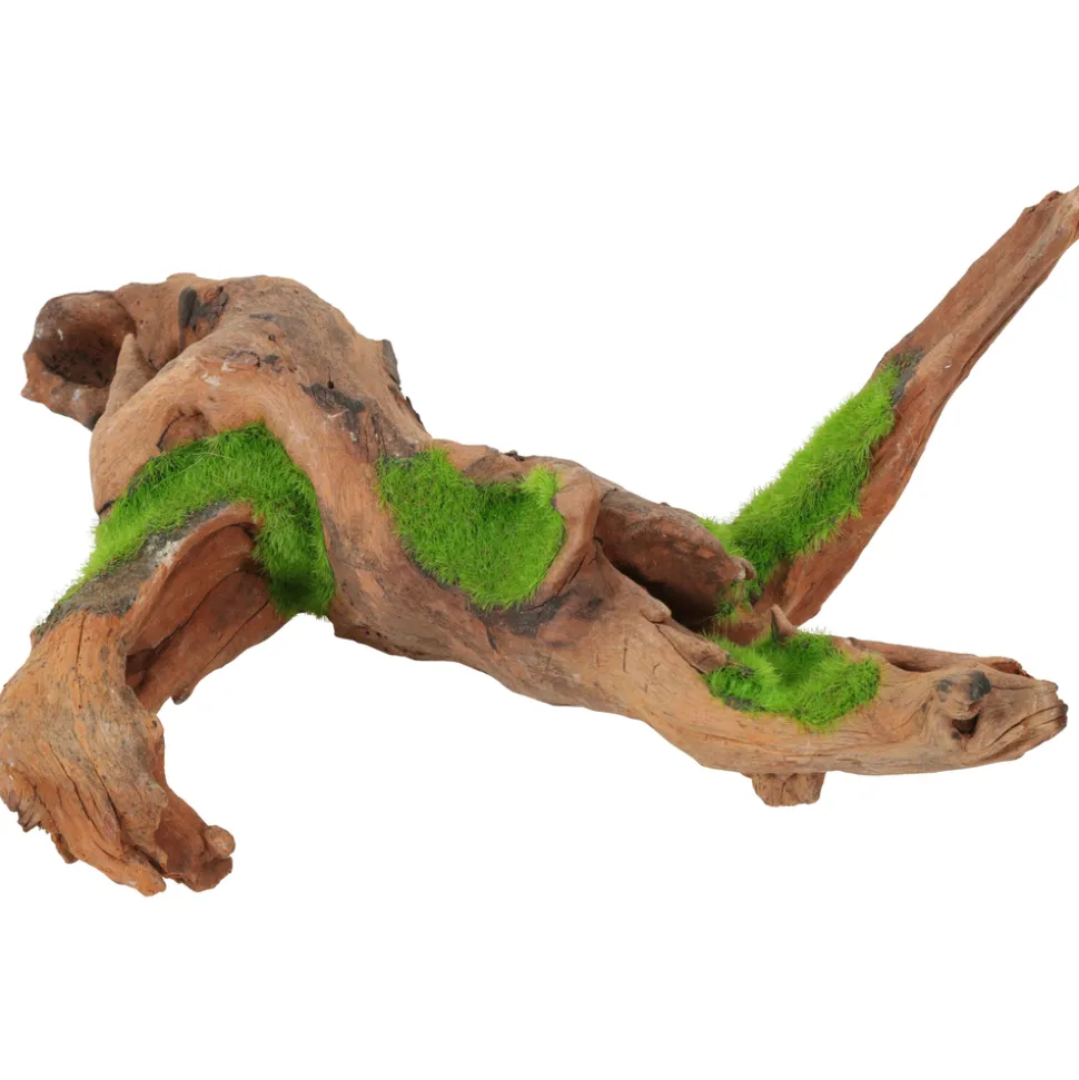 ZOLUX - Racine de Malaisie Kipouss pour aquarium taille M