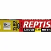 ZOOMED - Repti sun 5.0 t5 15 w - tube t5 uvb 30 cm - tube d'éclairage t5 pour terrarium destiné aux reptiles (lézards, tortues)