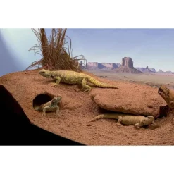 ZOOMED - Substrat Excavator pour Terrarium - 4,5Kg